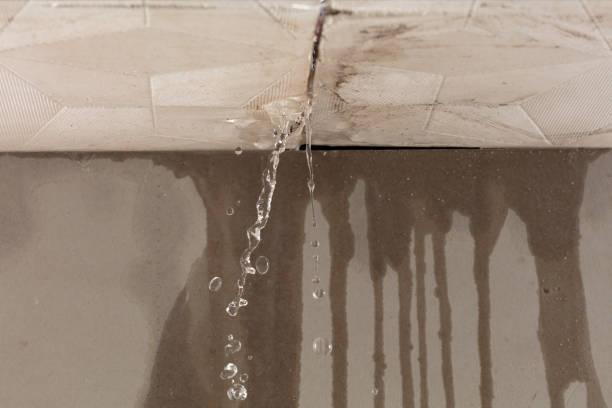 Professional Water Damage Repair technician working in Washington, WA
